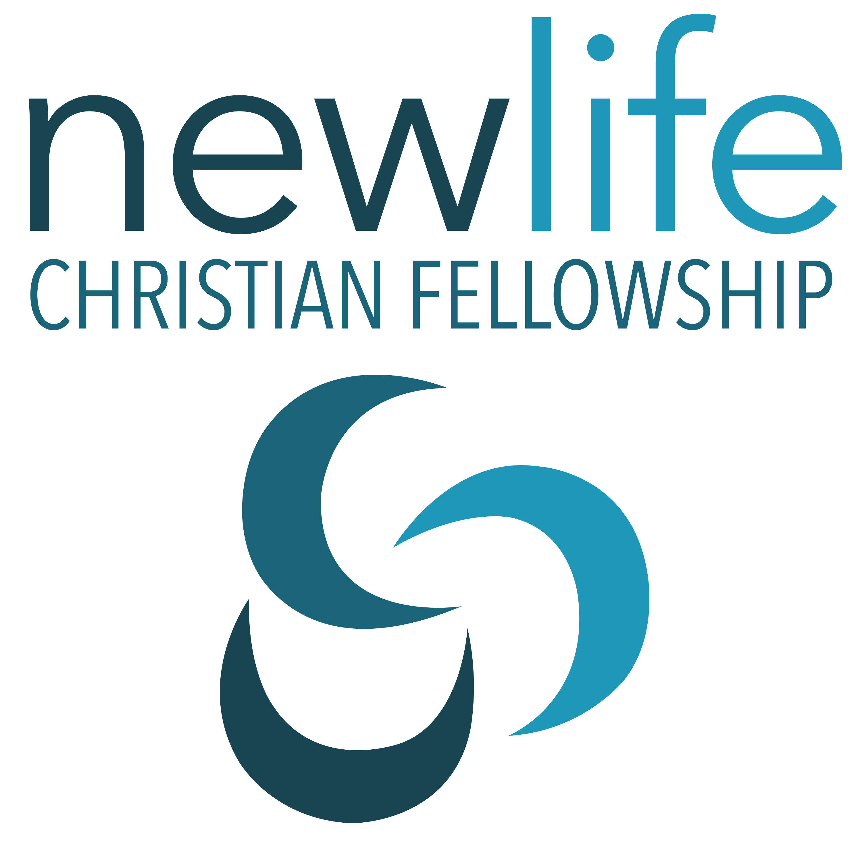 new life christian fellowship church